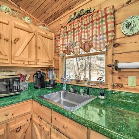 Franklin Cabin With Porch Near Hiking And Waterfalls! מראה חיצוני תמונה